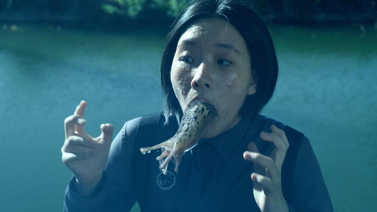洞悉赛场动态，掌握竞技趋势。 - 海星体育fengtaida